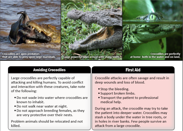 Nile Crocodile Emergency Protocol